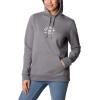 Columbia womens Trek Graphic Treatment Hoodie(Grey)