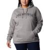 Columbia womens Trek Graphic Treatment Hoodie(Light Grey Heather/Csc Collegiate)