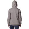 Columbia womens Trek Graphic Treatment Hoodie(Light Grey Heather/Csc Collegiate)