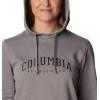 Columbia womens Trek Graphic Treatment Hoodie(Light Grey Heather/Csc Collegiate)
