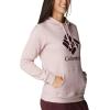 Columbia womens Trek Graphic Treatment Hoodie(Mineral Pink/Stacked Gem)