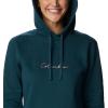 Columbia womens Trek Graphic Treatment Hoodie(Night Wave/Dusty Pink Logo)