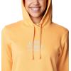 Columbia womens Trek Graphic Treatment Hoodie(Orange)