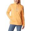 Columbia womens Trek Graphic Treatment Hoodie(Orange)