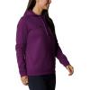 Columbia womens Trek Graphic Treatment Hoodie(Plum/Script Logo)