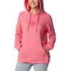 Columbia womens Trek Graphic Treatment Hoodie(Red)