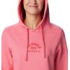 Columbia womens Trek Graphic Treatment Hoodie(Red)
