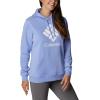 Columbia womens Trek Graphic Treatment Hoodie(Serenity/Stacked Gem)