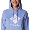 Columbia womens Trek Graphic Treatment Hoodie(Serenity/Stacked Gem)