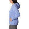 Columbia womens Trek Graphic Treatment Hoodie(Serenity/Stacked Gem)
