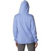 Columbia womens Trek Graphic Treatment Hoodie(Serenity/Stacked Gem)