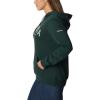 Columbia womens Trek Graphic Treatment Hoodie(Spruce/Csc Collegiate)
