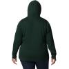 Columbia womens Trek Graphic Treatment Hoodie(Spruce/Csc Collegiate)