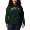 Columbia womens Trek Graphic Treatment Hoodie(Spruce/Csc Collegiate)