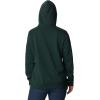 Columbia womens Trek Graphic Treatment Hoodie(Spruce/Csc Collegiate)