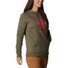 Columbia womens Trek Graphic Treatment Hoodie(Stone Green/Stacked Gem)