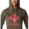 Columbia womens Trek Graphic Treatment Hoodie(Stone Green/Stacked Gem)