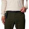 Columbia Men’s Landroamer Ripstop Pant II(Greenscape)