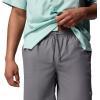 Columbia Mens PFG Ramble Quick Dry Swim Short(City Grey)