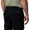 Columbia Men’s ROC Tech Cargo Pant(Black)