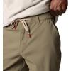 Columbia Mens Tech Trail Utility Short(Stone Green)