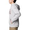 Columbia mens Phg Game Flag Ii HoodieHooded Sweatshirt(Cool Grey/Zinc Big Game Flag)