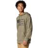 Columbia mens Phg Game Flag Ii HoodieHooded Sweatshirt(Stone Green/Black Hunt Flag)