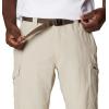 Columbia Men’s Silver Ridge Cargo Short(Fossil)