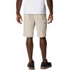 Columbia Men’s Silver Ridge Cargo Short(Fossil)