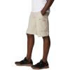 Columbia Men’s Silver Ridge Cargo Short(Fossil)