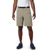 Columbia Men’s Silver Ridge Cargo Short(Fossil)
