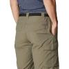 Columbia Men’s Silver Ridge Cargo Short(Stone Green)