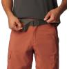 Columbia Mens Silver Ridge Utility Cargo Short(Auburn)