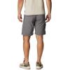 Columbia Mens Silver Ridge Utility Cargo Short(Delta)