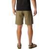 Columbia Mens Silver Ridge Utility Cargo Short(Stone Green)