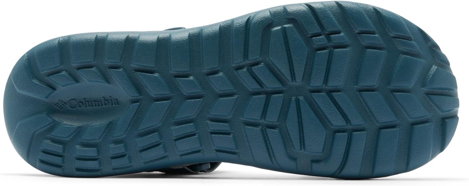 imageColumbia mens Peakfreak Roam SandalEverblueShasta