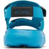 Columbia mens Peakfreak Roam Sandal(Blue Echo/Black)
