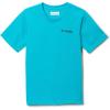Ocean Teal Graphic
