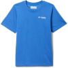 Vivid Blue Graphic