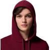 Columbia Women’s Columbia Trek Graphic Hoodie(Rich Wine/Gem Columbia)