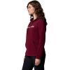Columbia Women’s Columbia Trek Graphic Hoodie(Rich Wine/Gem Columbia)