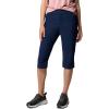 Collegiate Navy