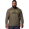Columbia mens Trek Hoodie(Stone Green/Retro Roamer)