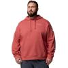 Columbia mens Trek Hoodie(Washed Red/Csc Sleeve Logo)