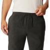 Columbia Mens Steens Mountain Pant(Black)
