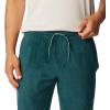 Columbia Mens Steens Mountain Pant(Night Wave)
