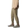 Columbia Mens Steens Mountain Pant(Stone Green)