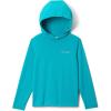 Columbia boys Pfg Solar Stream II Hoodie(Ocean Teal)