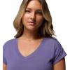 Columbia Womens Daniela Falls V-Neck Short Sleeve Tee(Stormwatch)