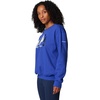 Columbia Women’s Hart Mountain Crew III(Clematis Blue/Treehome)